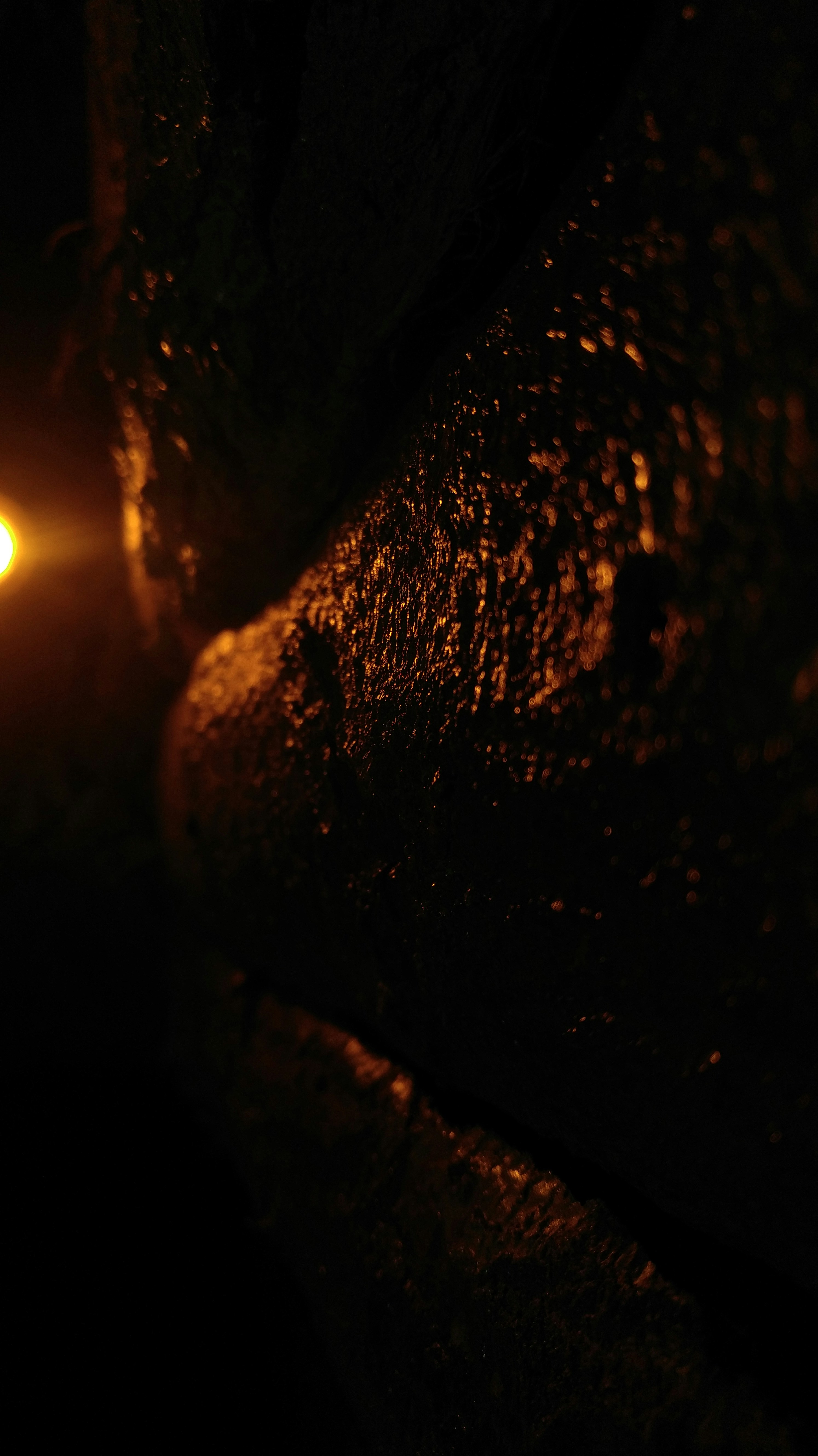 Free Unsplash photo from M. AhmadiP