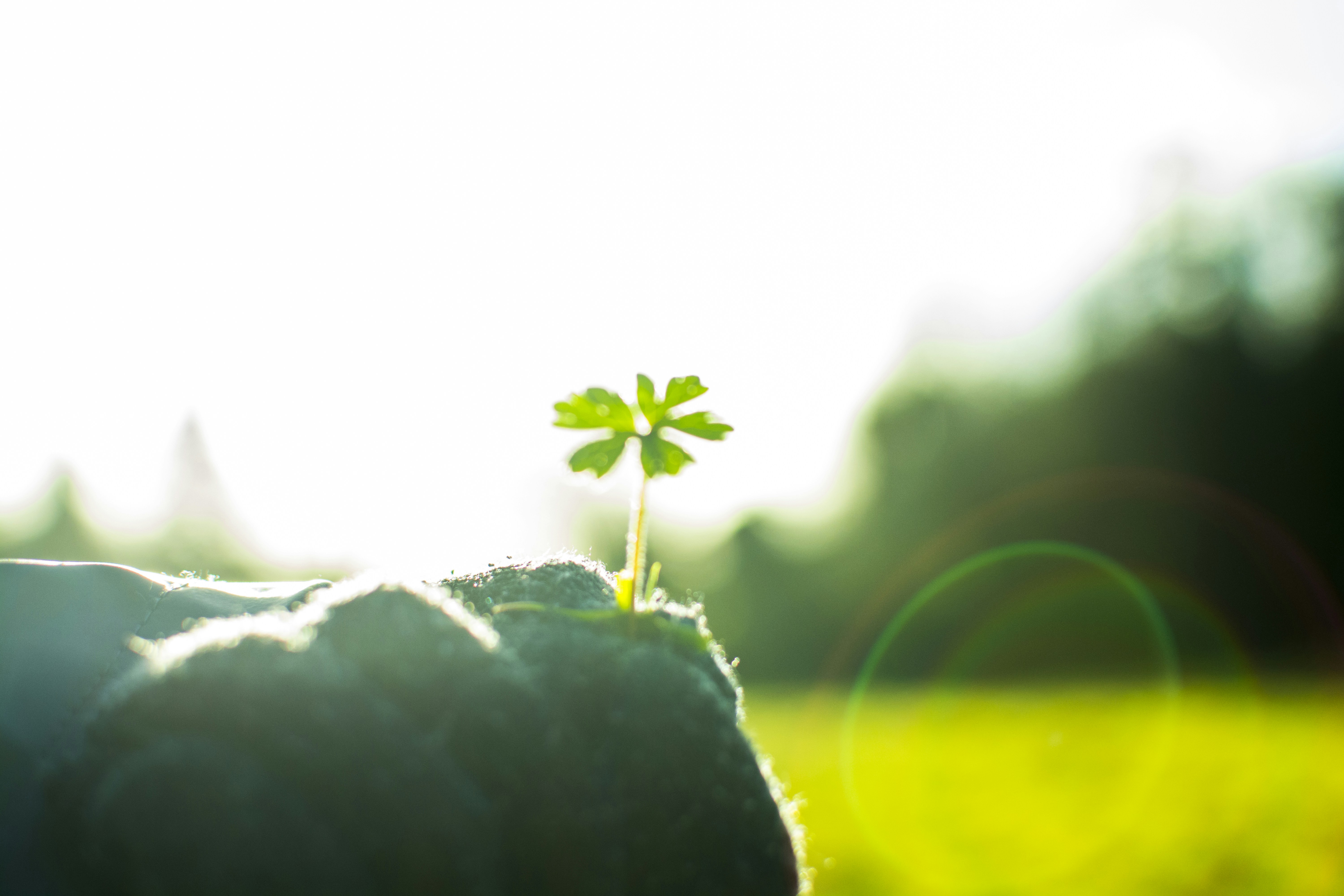 Free Unsplash photo from Nick van den Berg