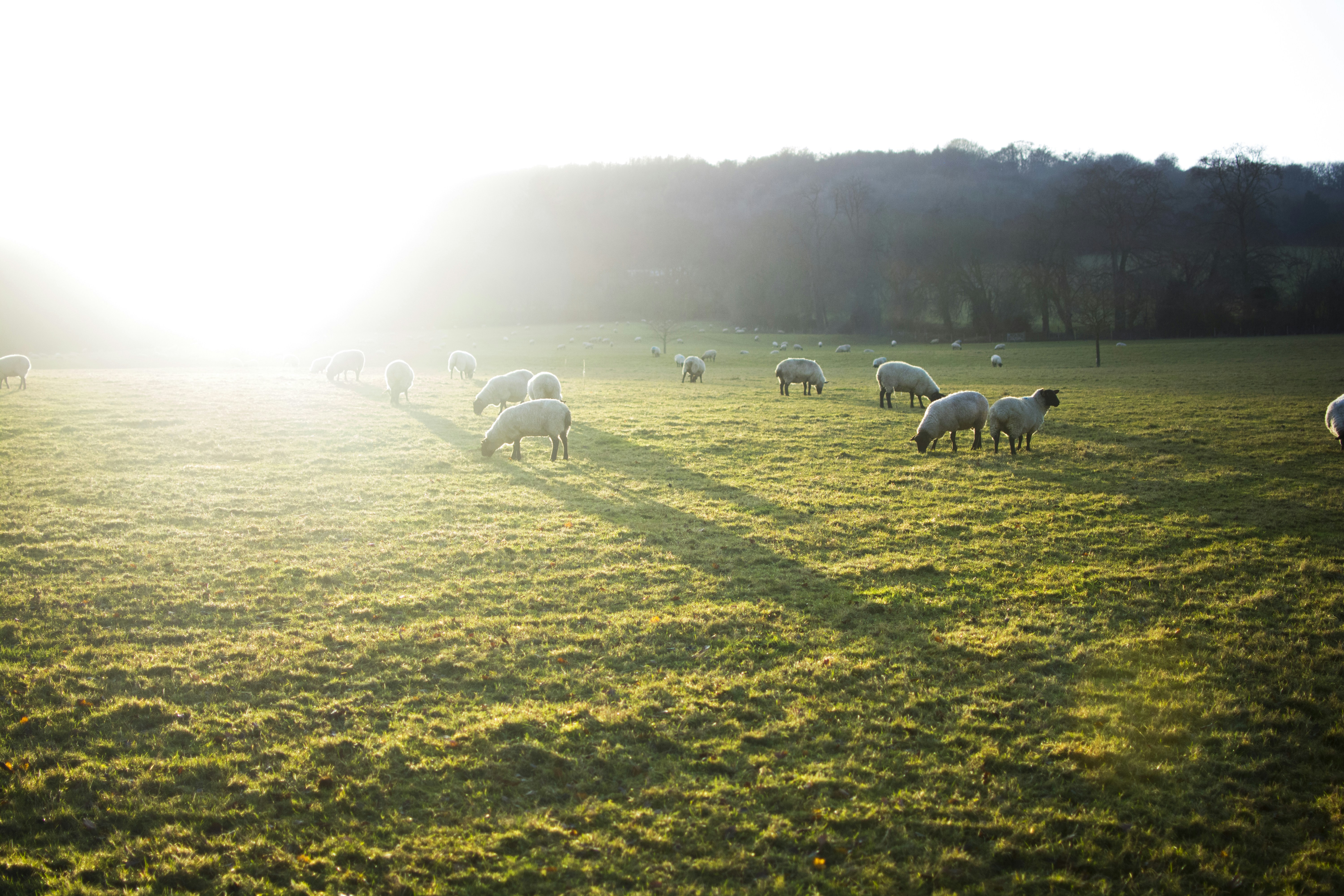 Free Unsplash photo from Nick van den Berg