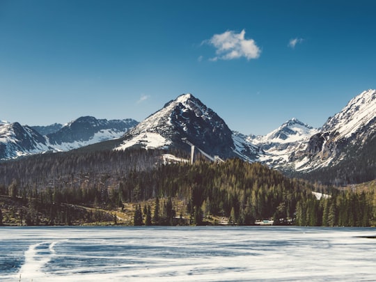 snow-covered mountains near trees and frozen lake during daytime in Štrbské Pleso Slovakia