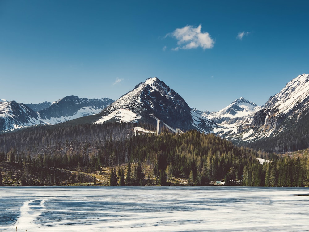 日中の木々や凍った湖の近くの雪に覆われた山々