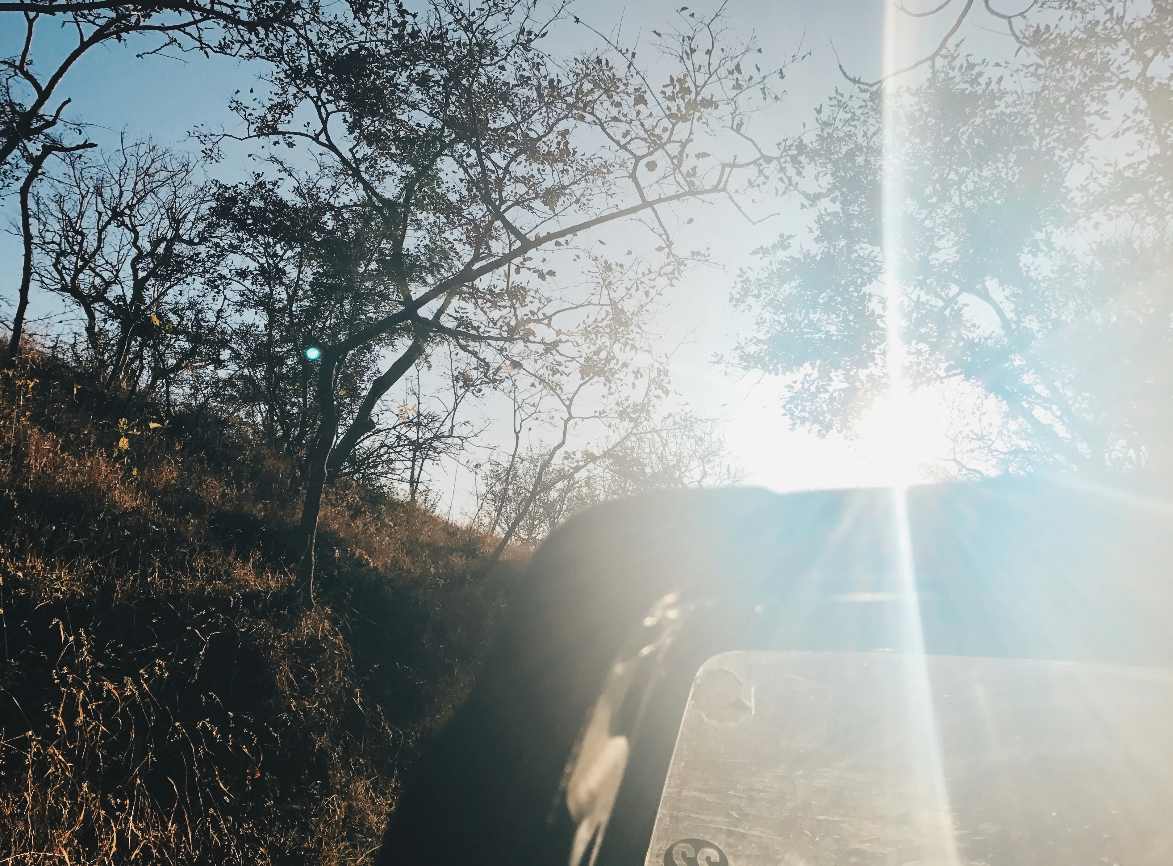 Free Unsplash photo from Amisha N