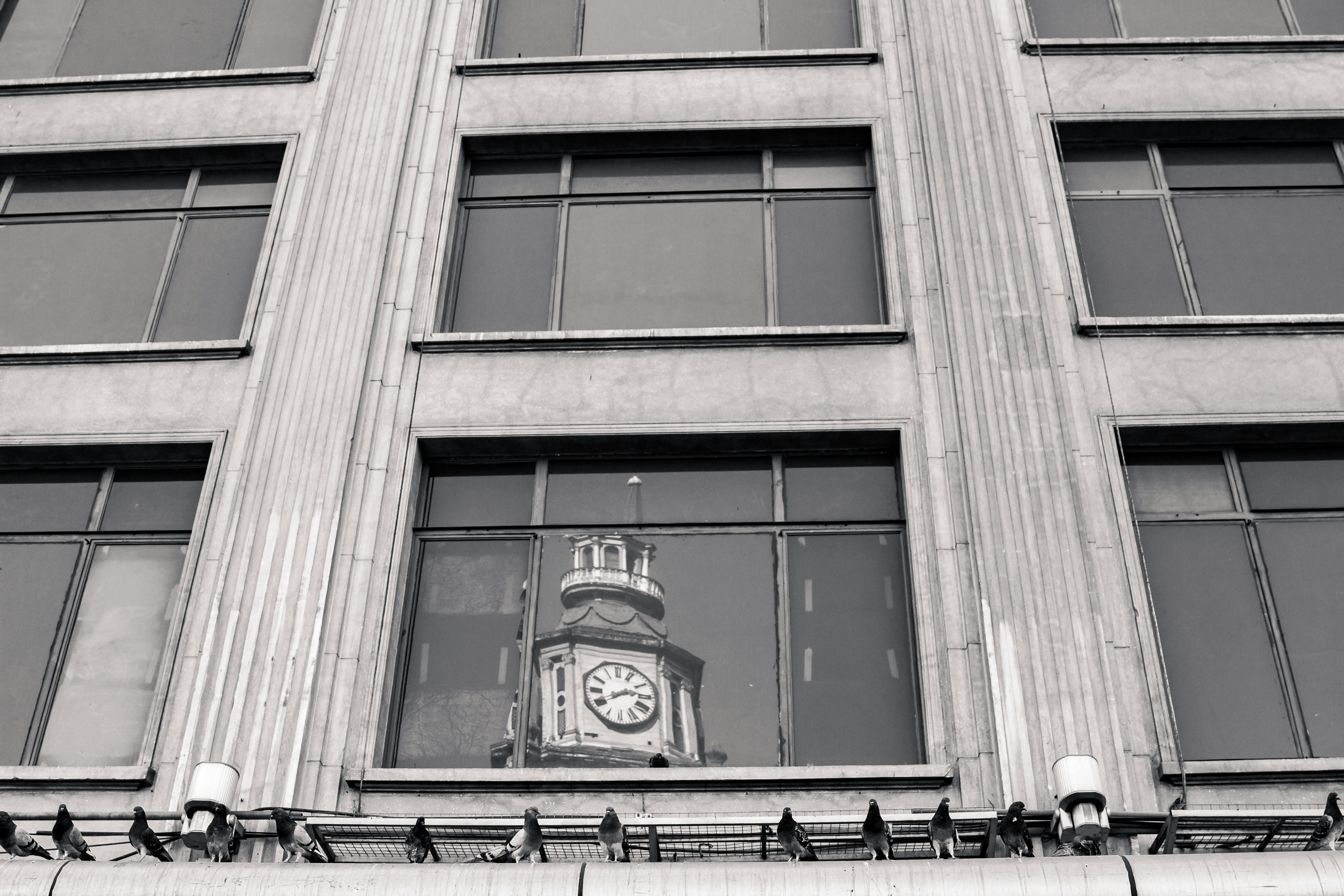 Free Unsplash photo from ILAN VALE