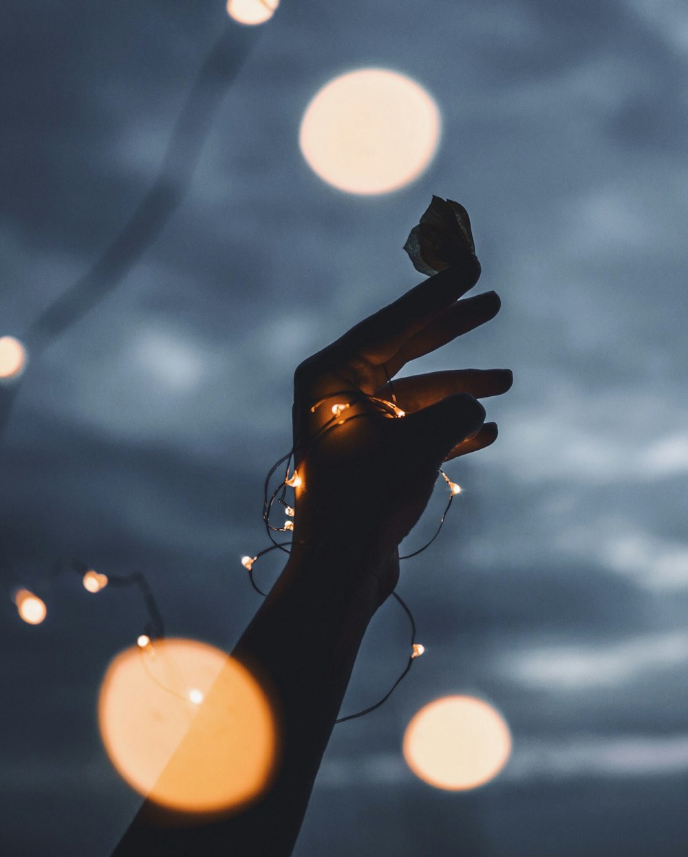 person holding butterfly