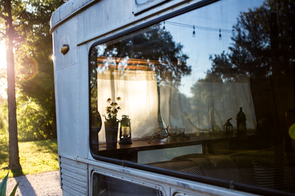 trees reflecting on caravan window