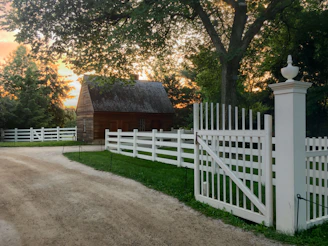 A warm, inviting Catskills log cabin surrounded by lush green trees at sunset.