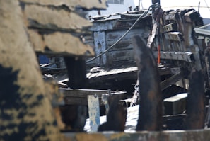 Detailed view of a wooden ship fragment preserved underwater for over 300 years.