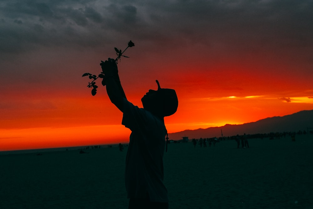 silhouette of man holding rose
