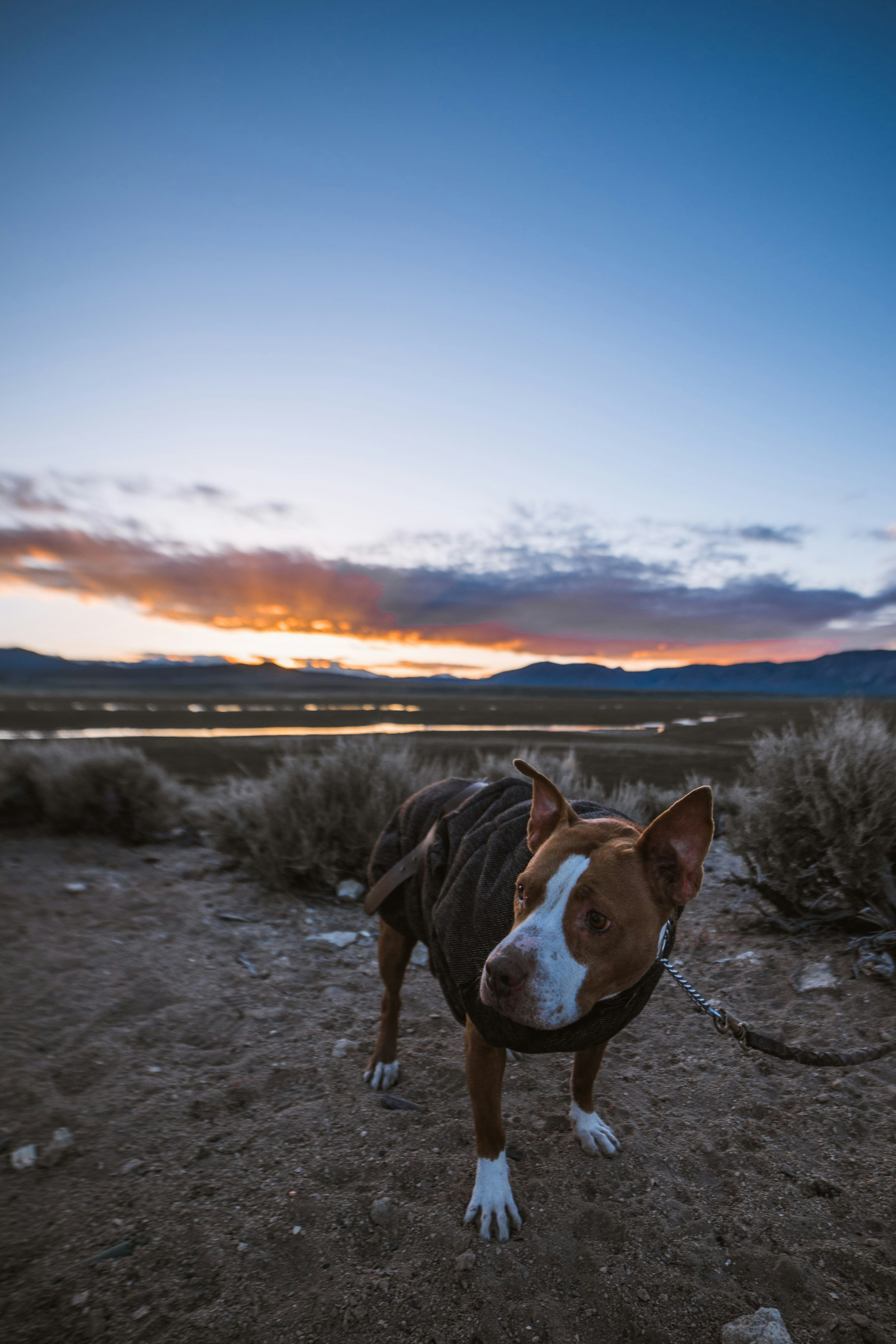 Free Unsplash photo from Robson Hatsukami Morgan