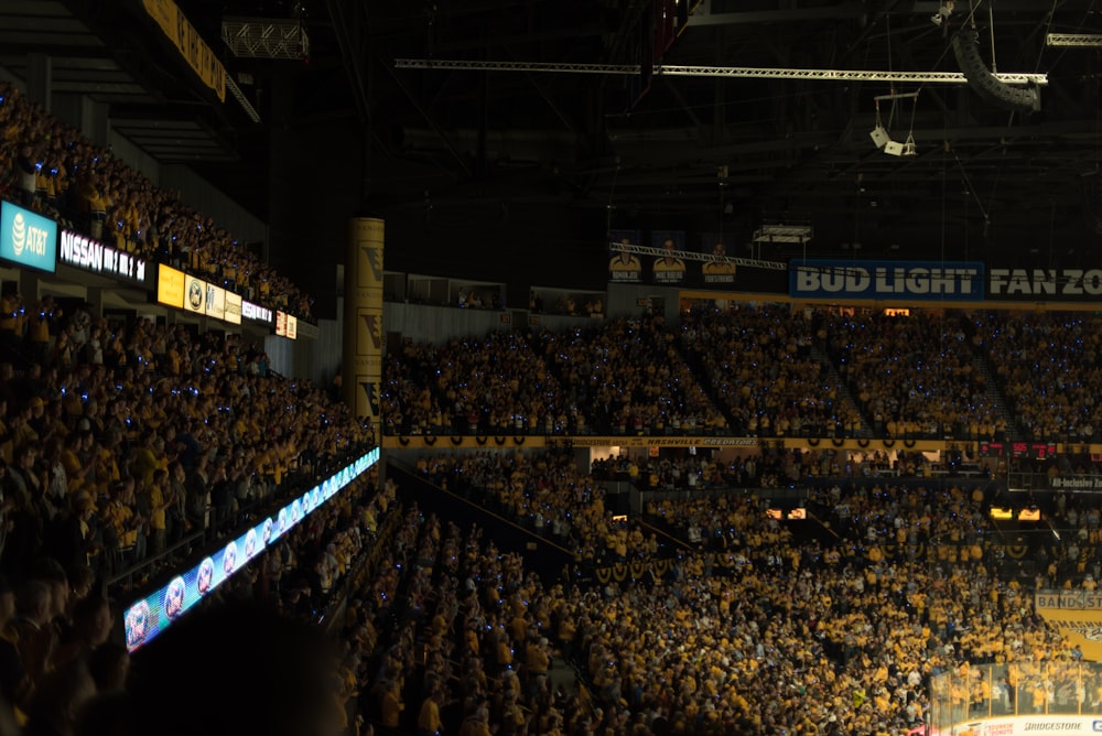 crowd of people inside stadium