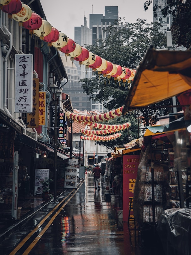 assorted lanterns hanged above alleyway