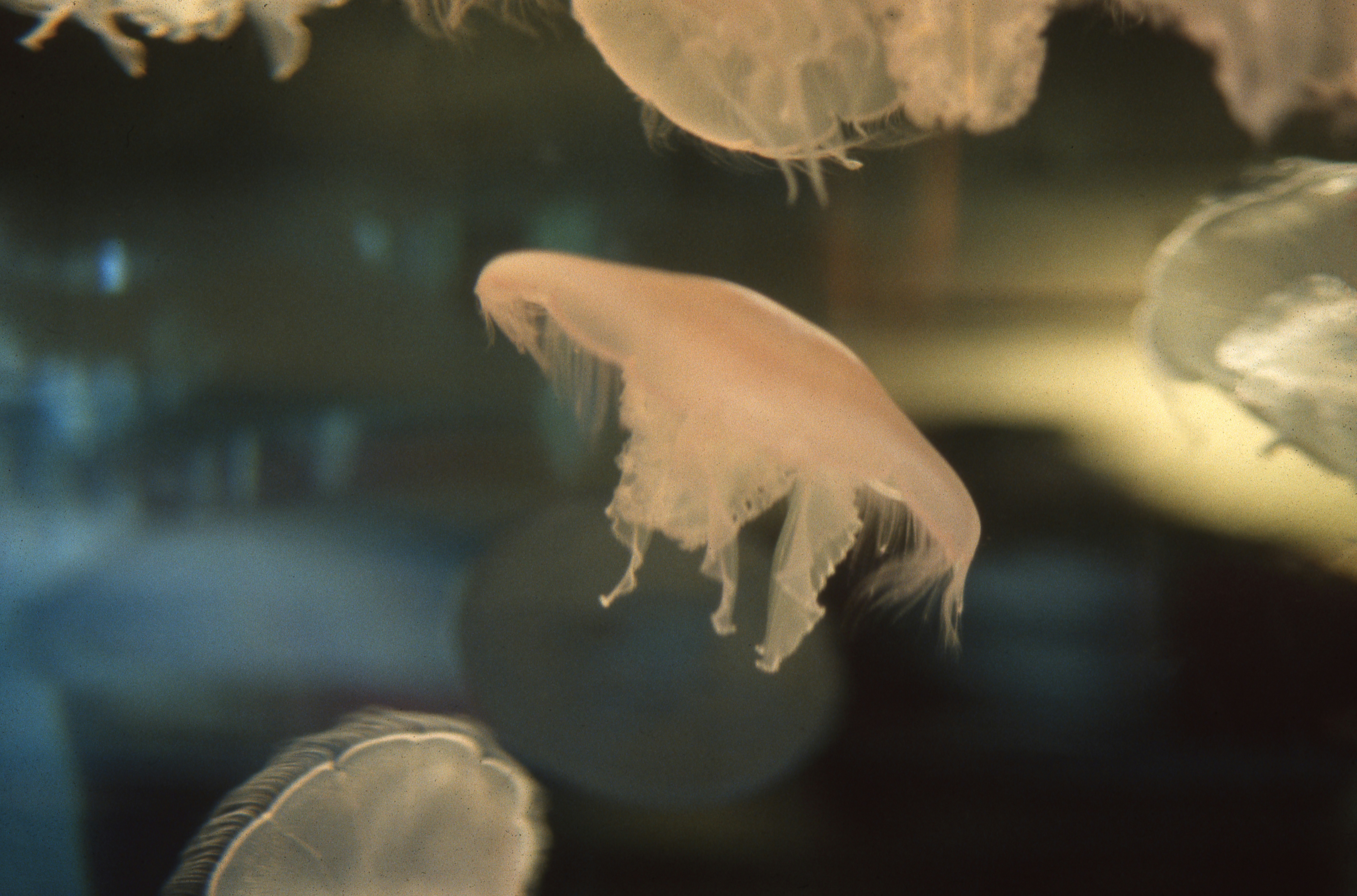 Why Your Centrifuge Is Destroying Your Samples