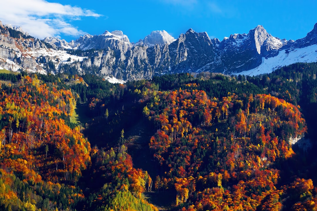 Nature reserve photo spot Glarus Segl