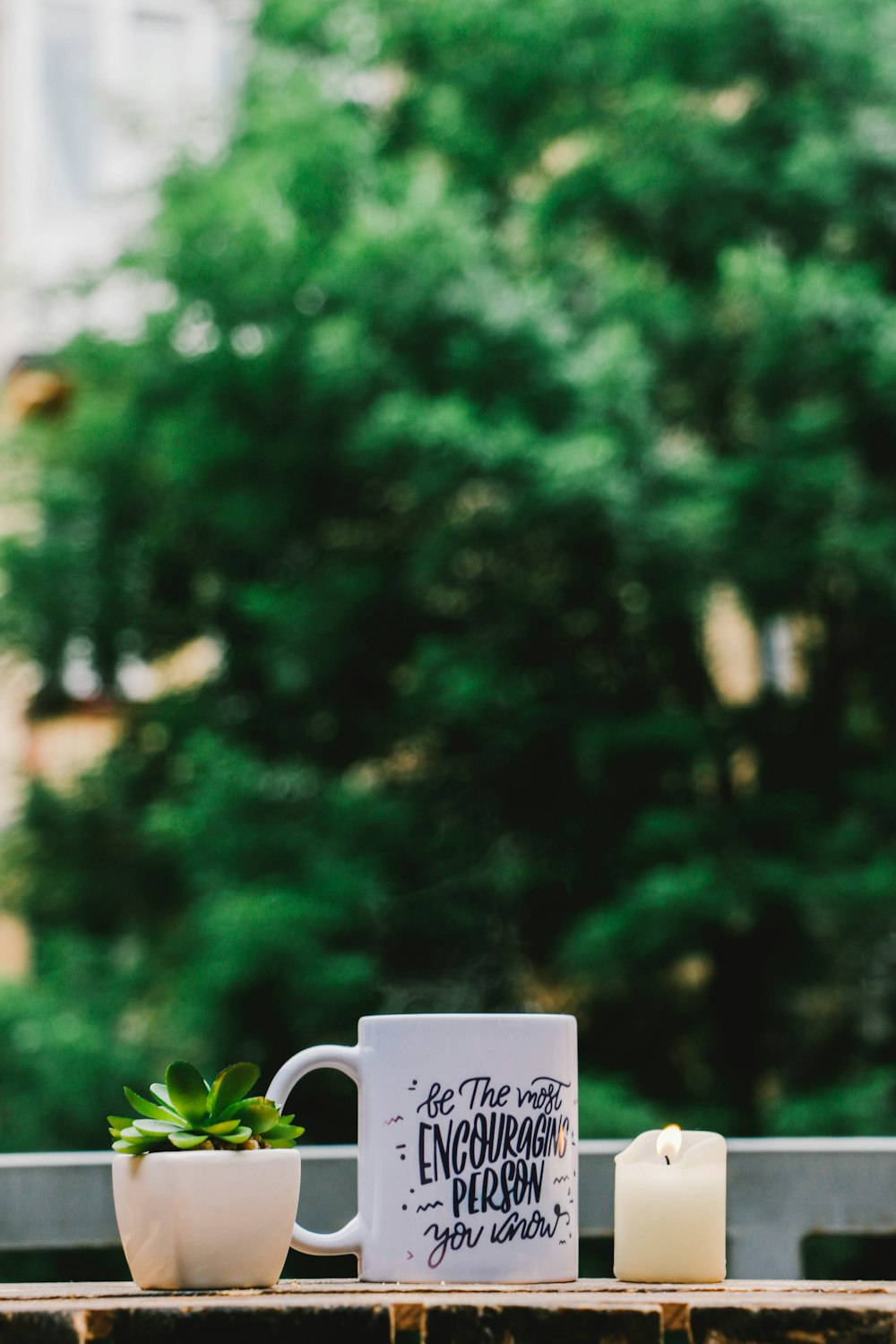 Fotografia de foco raso de caneca branca e planta suculenta sobre a mesa