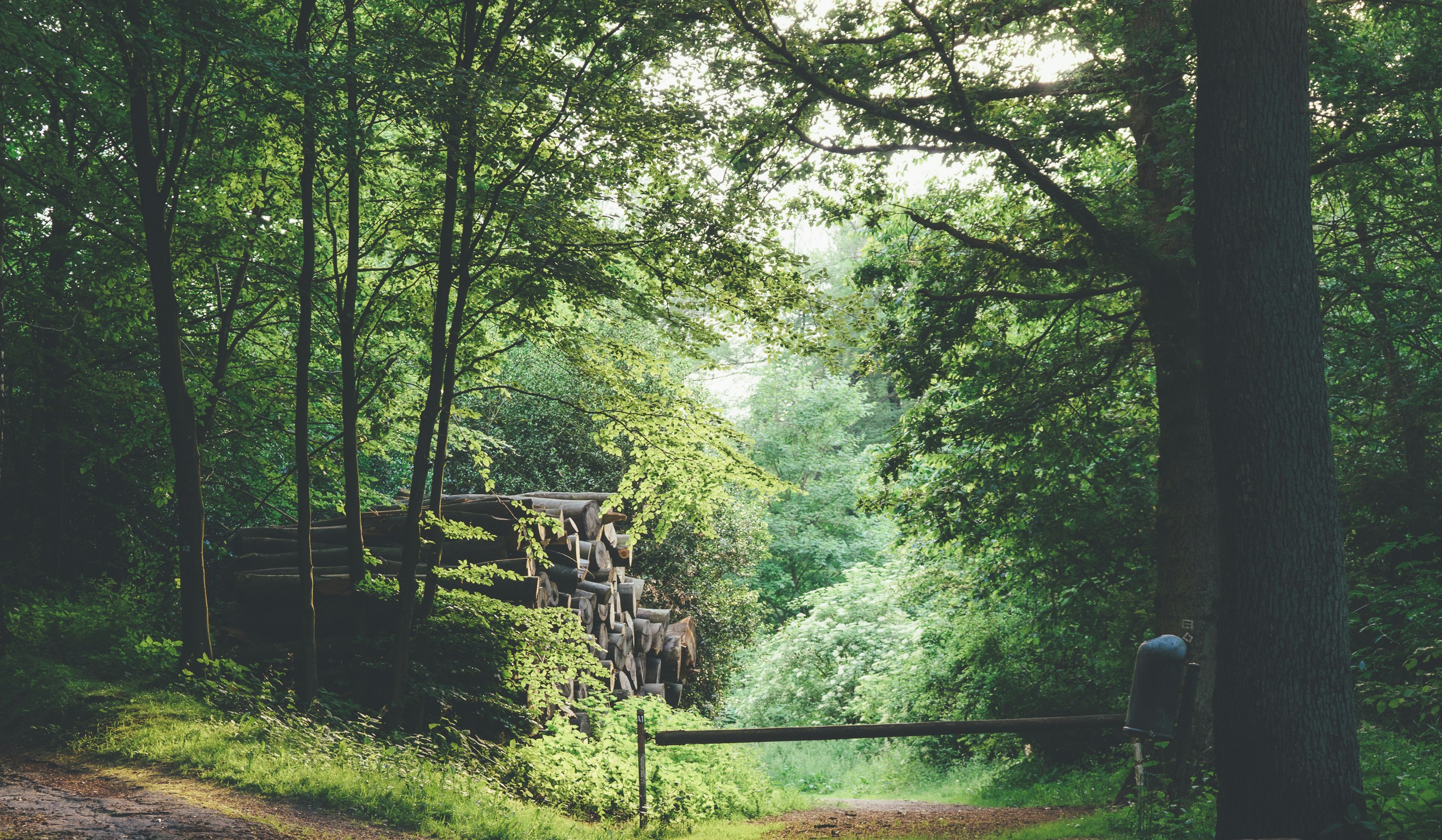 Free Unsplash photo from SaRo Fotografie