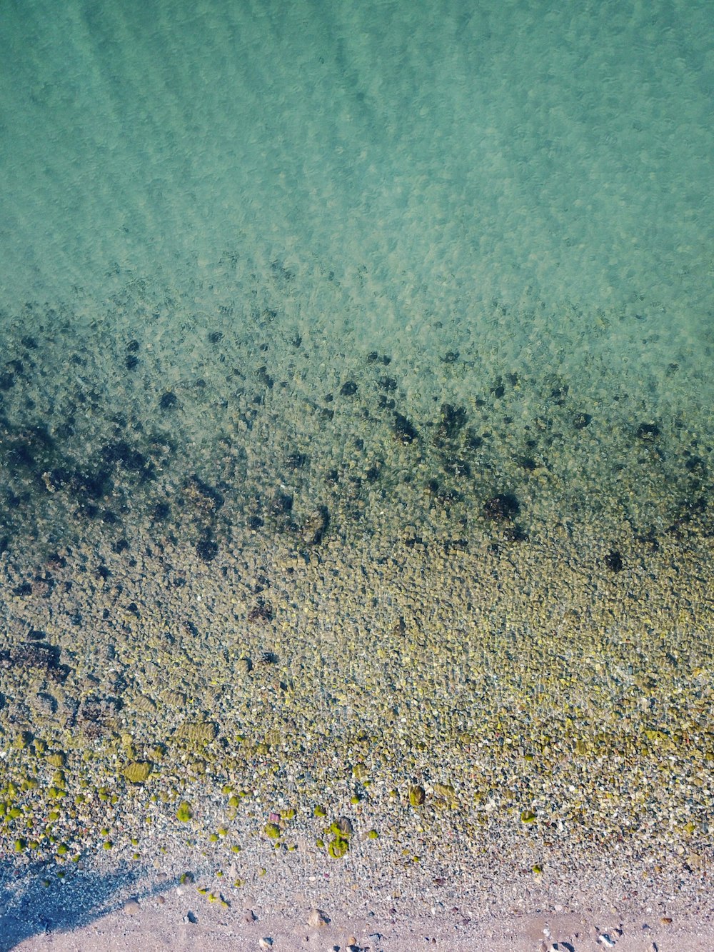 Fotografía aérea de la orilla del mar durante el día