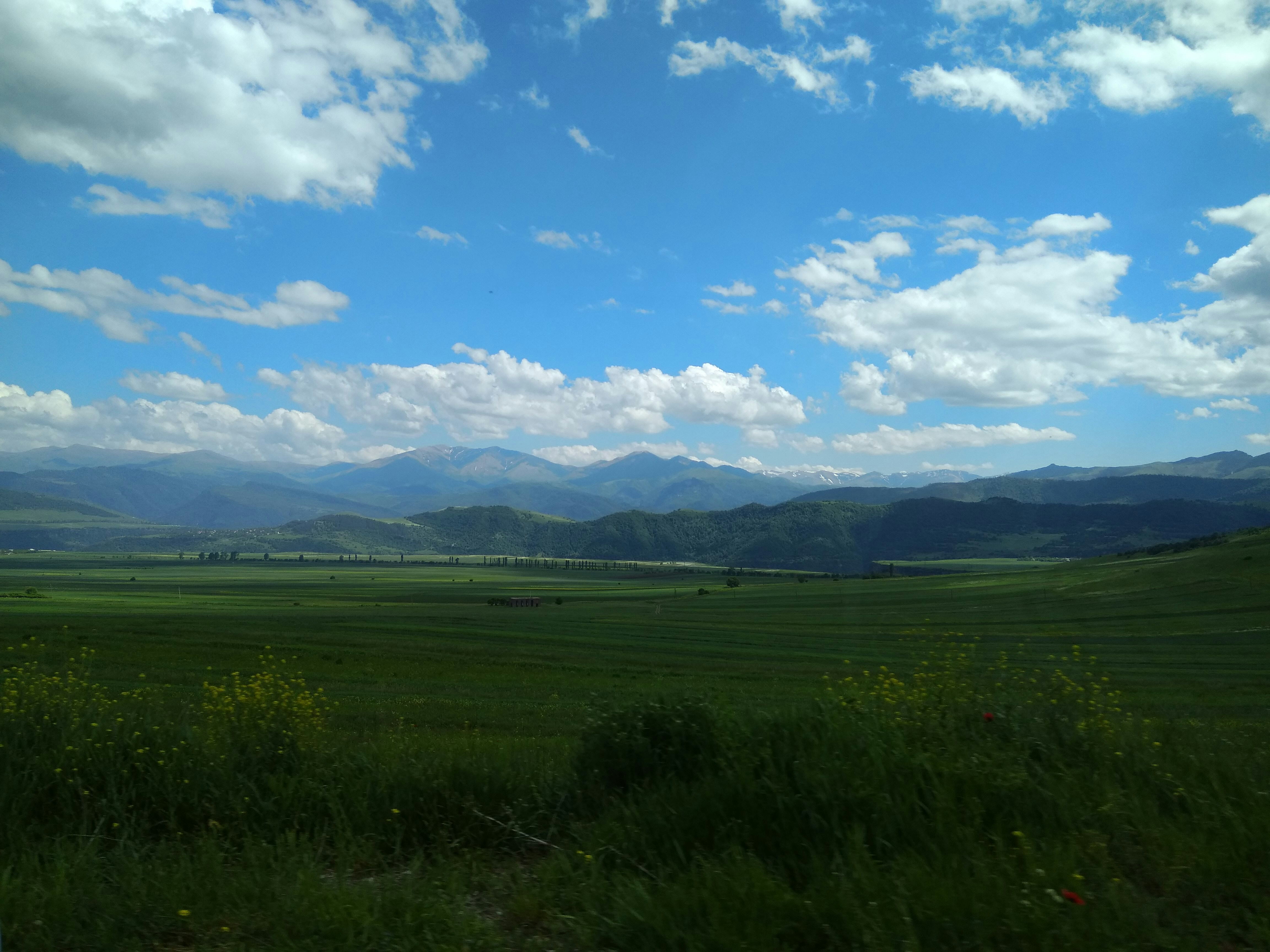 Free Unsplash photo from Ani Tandilyan