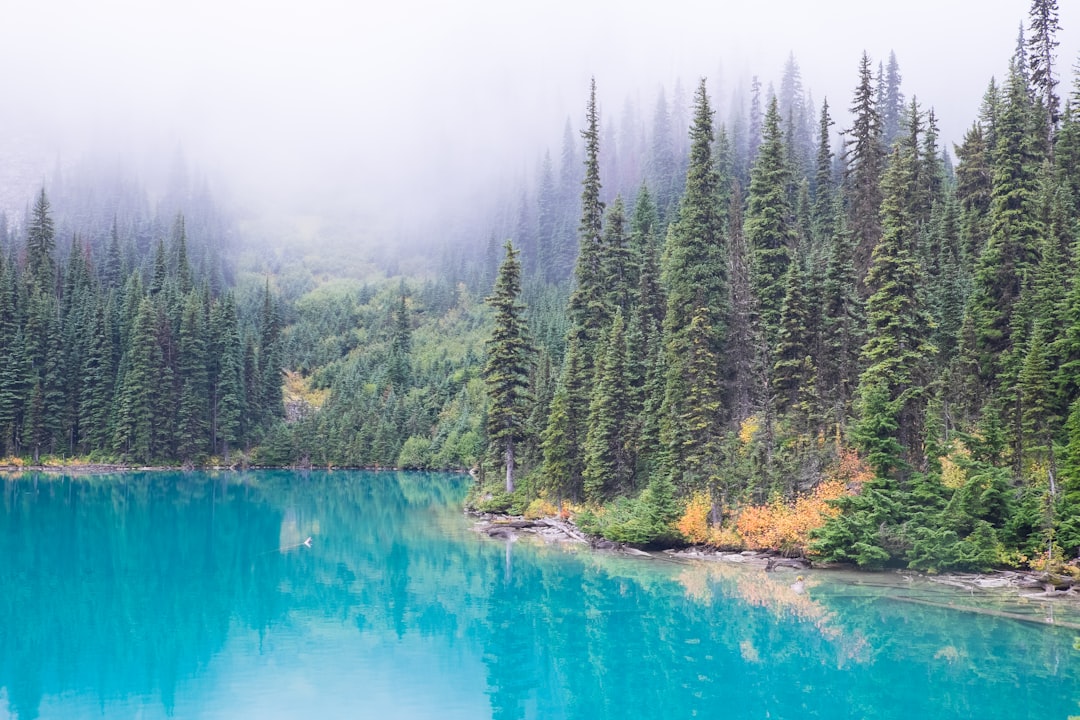 Nature reserve photo spot Joffre Lakes Trail Joffre Lakes Trail