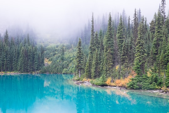 body of water beside green trees with fogs in Joffre Lakes Trail Canada