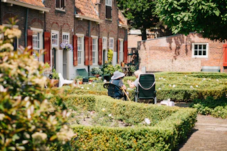 A warm scene of seniors smiling and holding hands in a sunny community garden.