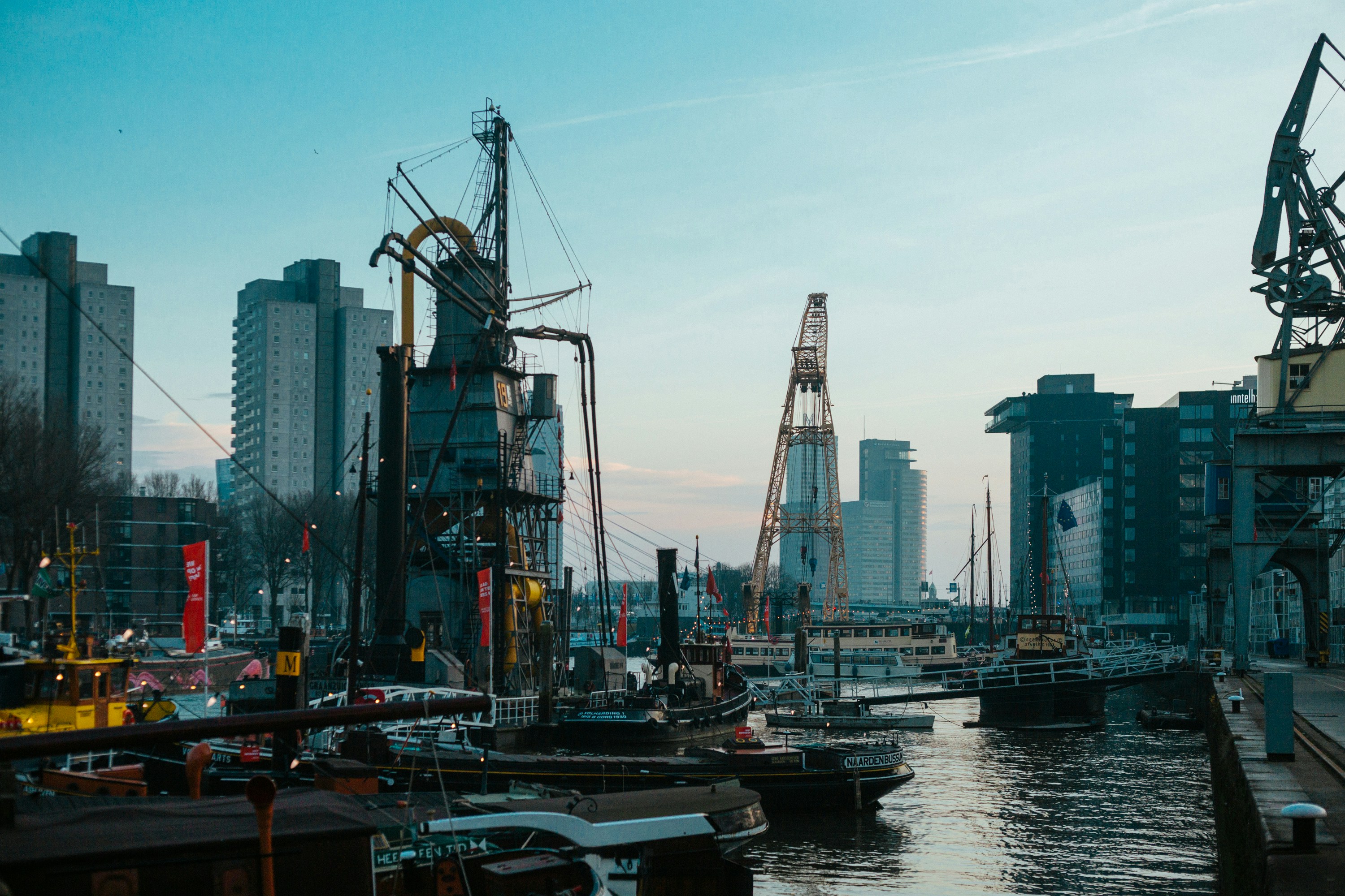 Free Unsplash photo from joyce huis