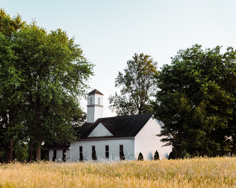 white and black chapel surround by trees