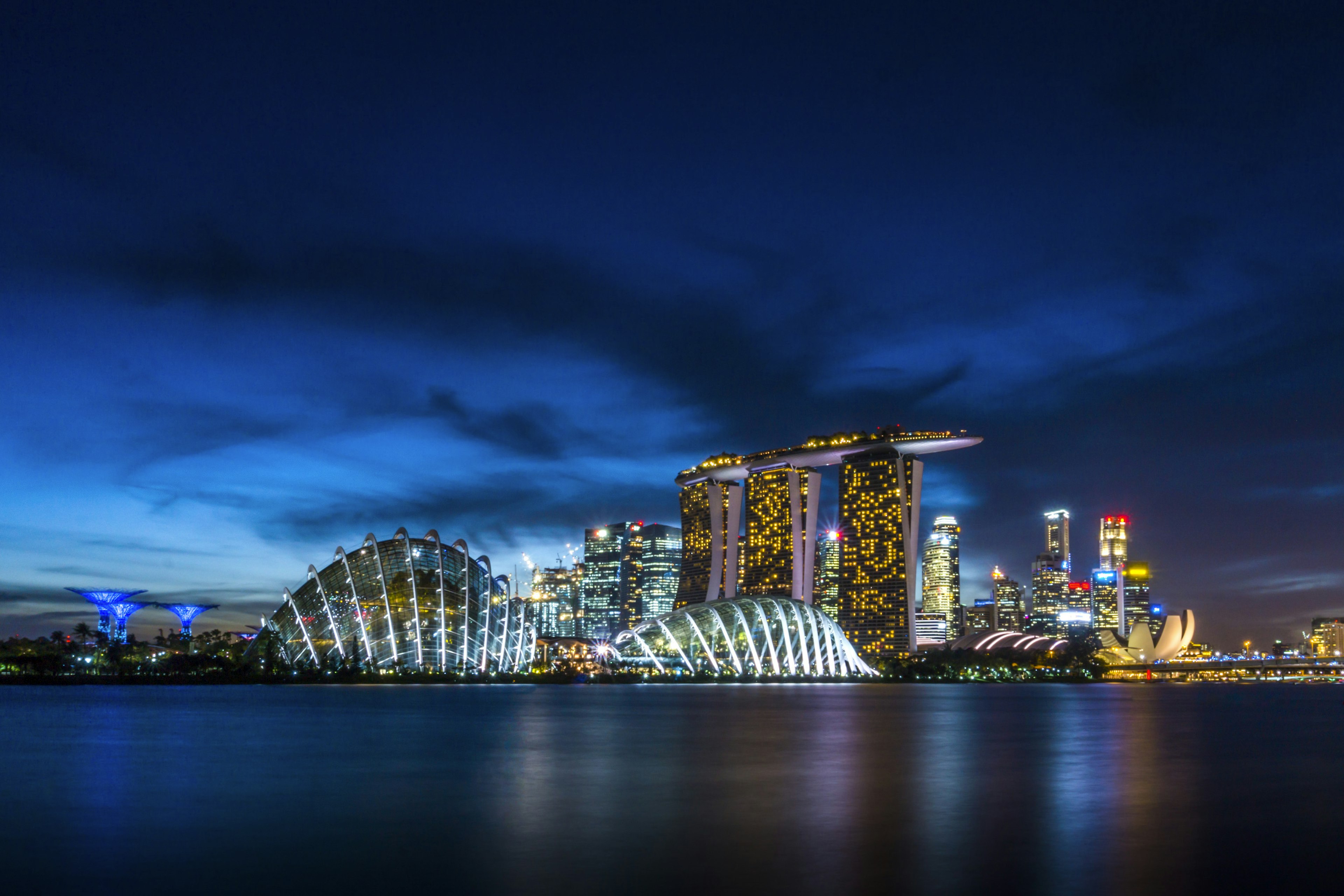 Gardens by the Bay Supertree Grove illuminated at night