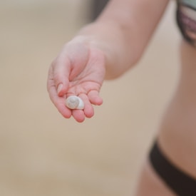 A close-up image of a hand holding a small, white seashell, with a beach background. The hand is slightly cupped to securely hold the shell.