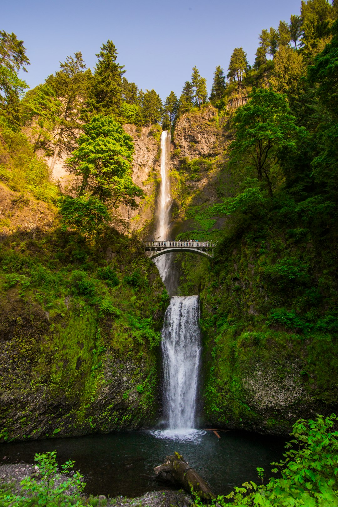 Travel Tips and Stories of Multnomah Falls in United States