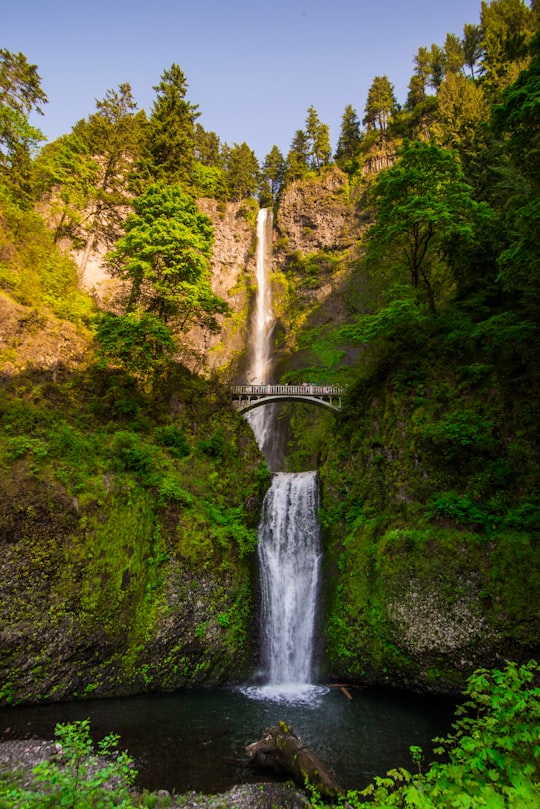 waterfalls in the middle of the forest in Multnomah Falls United States