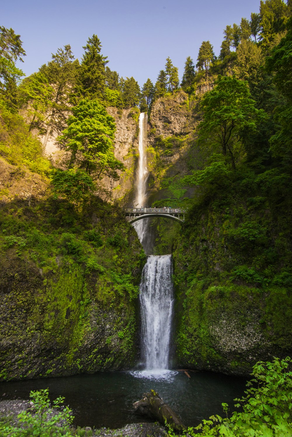 Cascadas en medio del bosque