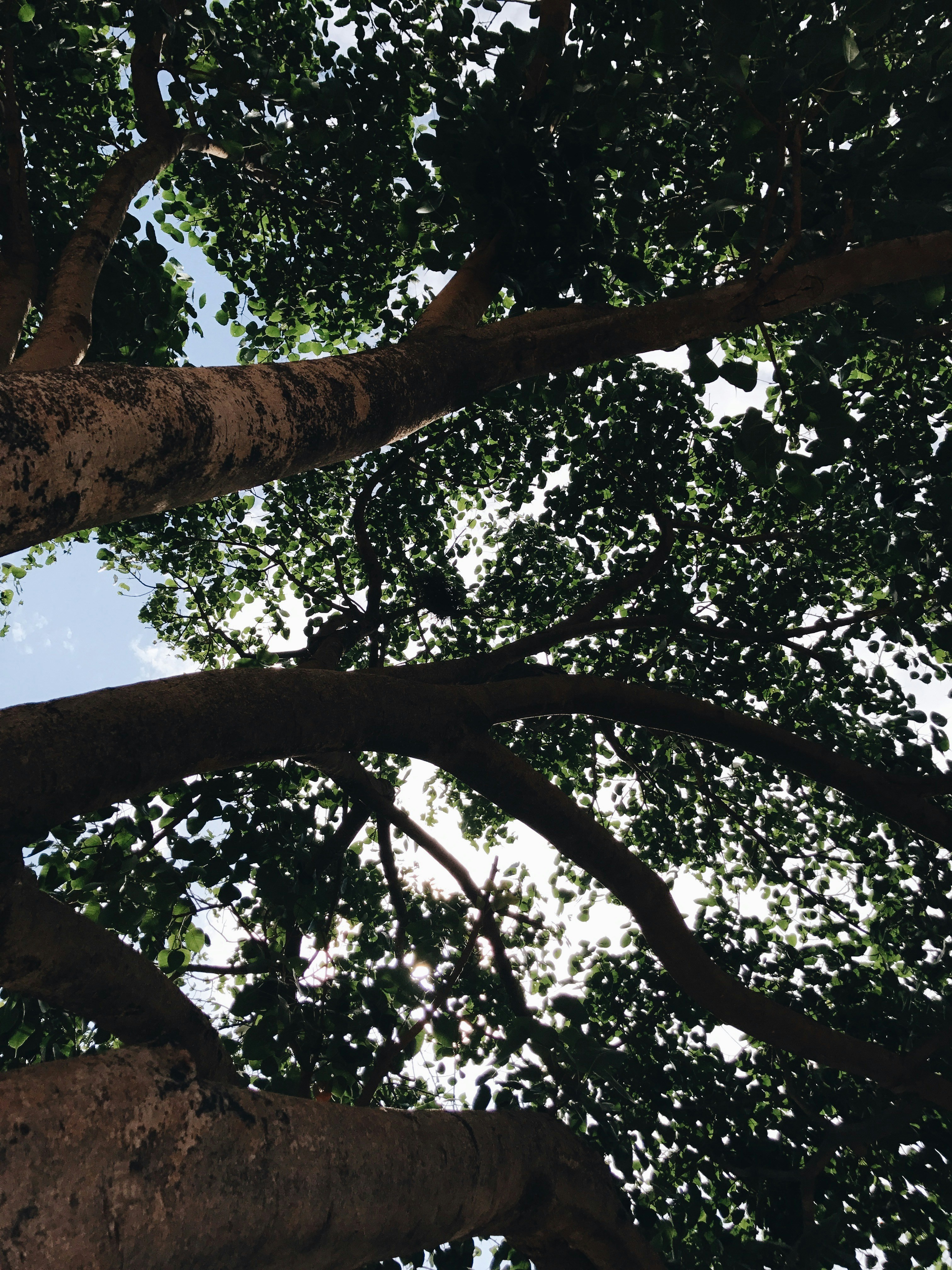 Free Unsplash photo from Amisha N