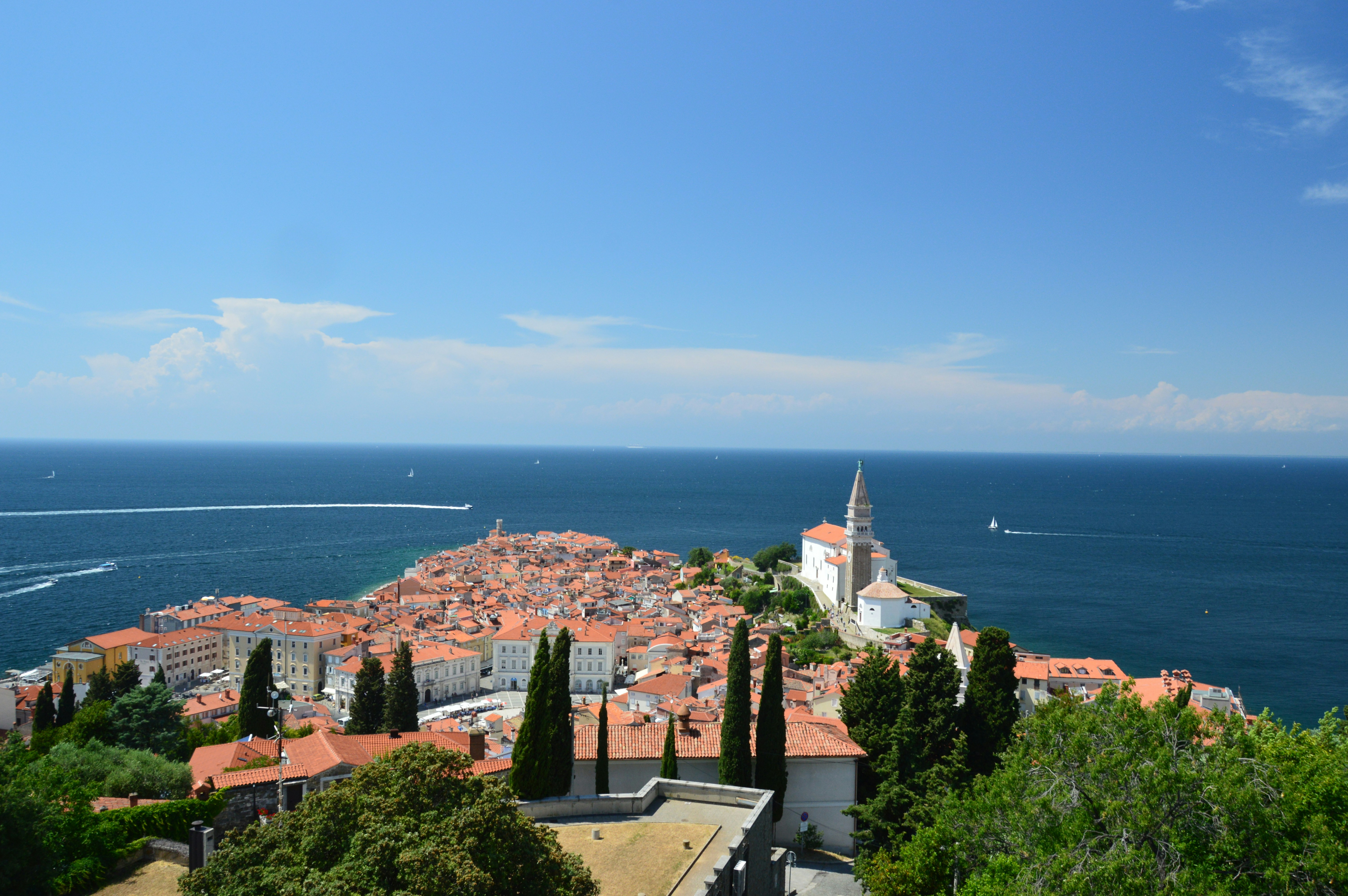 Free Unsplash photo from Razvan Rosu