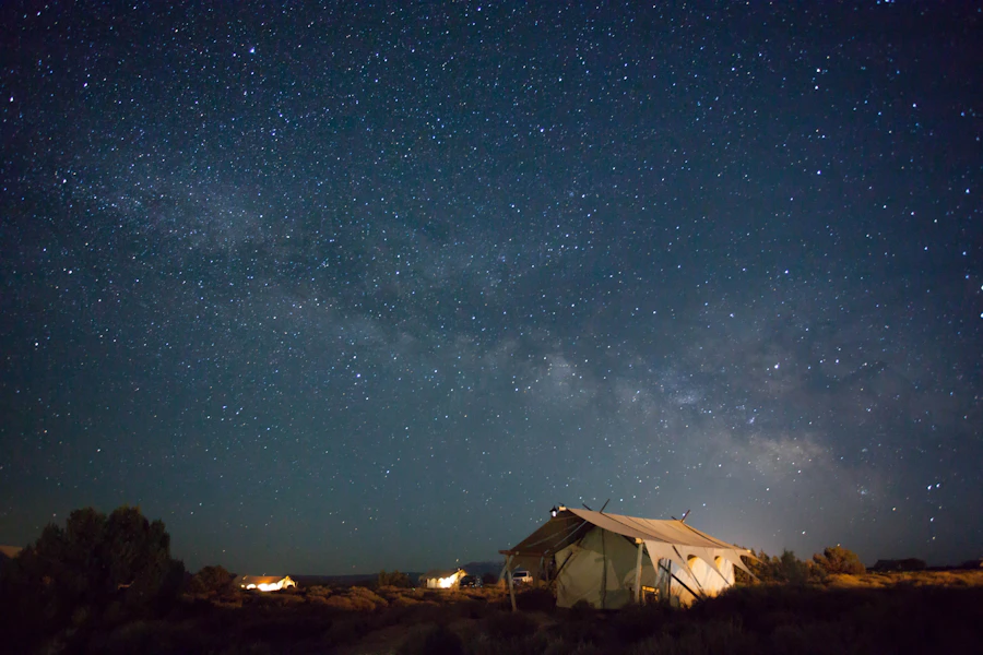 Desert camping under a sky full of stars