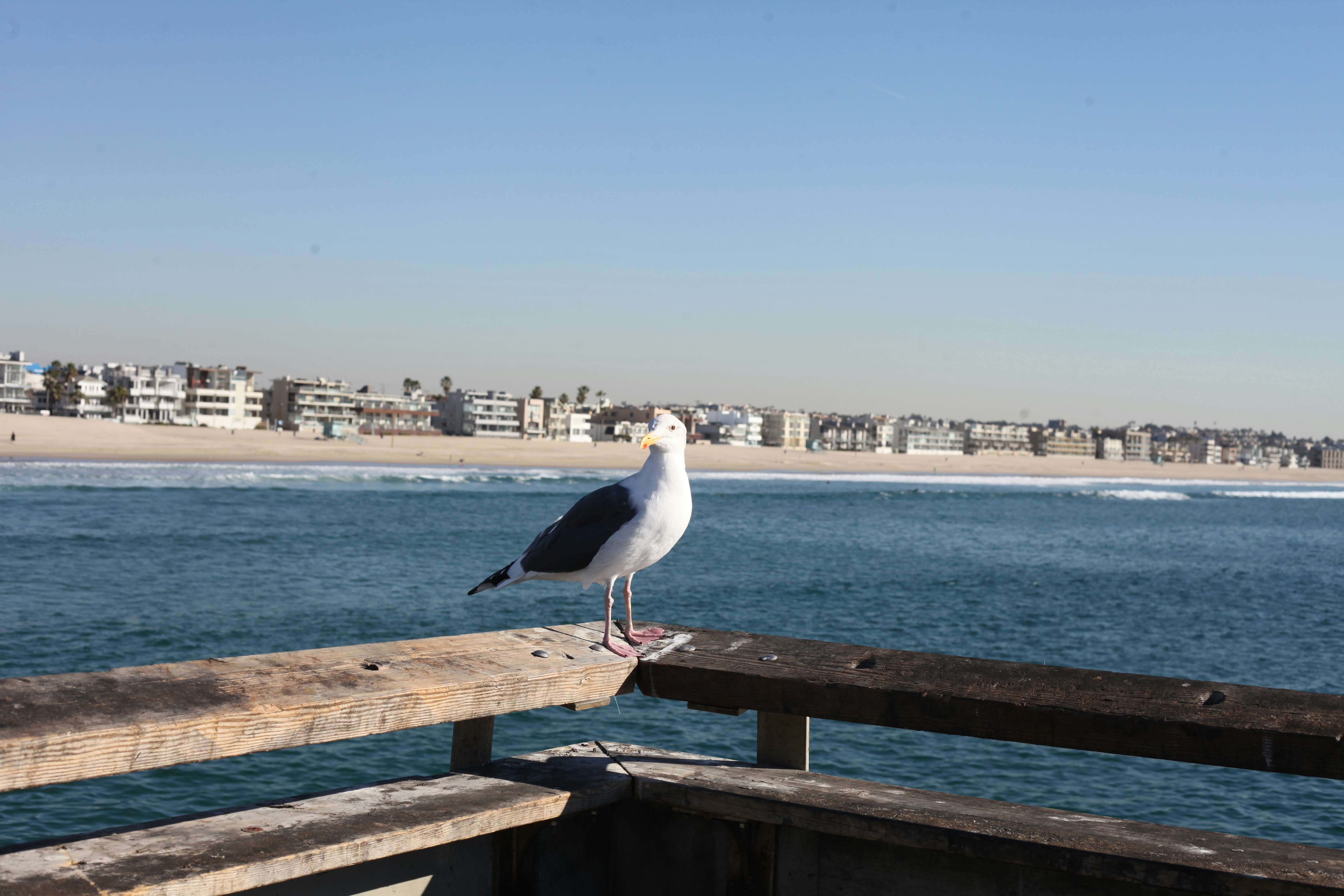 Free Unsplash photo from Leana Hodges