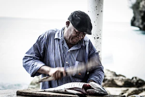 Knife work slicing raw fish