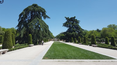 A well-maintained park with families enjoying.