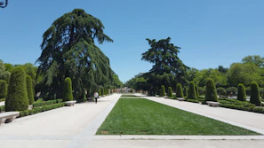 A serene municipal park area with well-maintained trees and manicured lawns inviting visitors