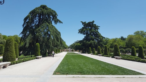 A well-maintained park with landscaped gardens and seating areas.