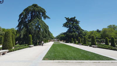 A well-maintained lawn with a senior enjoying a peaceful afternoon on a bench.