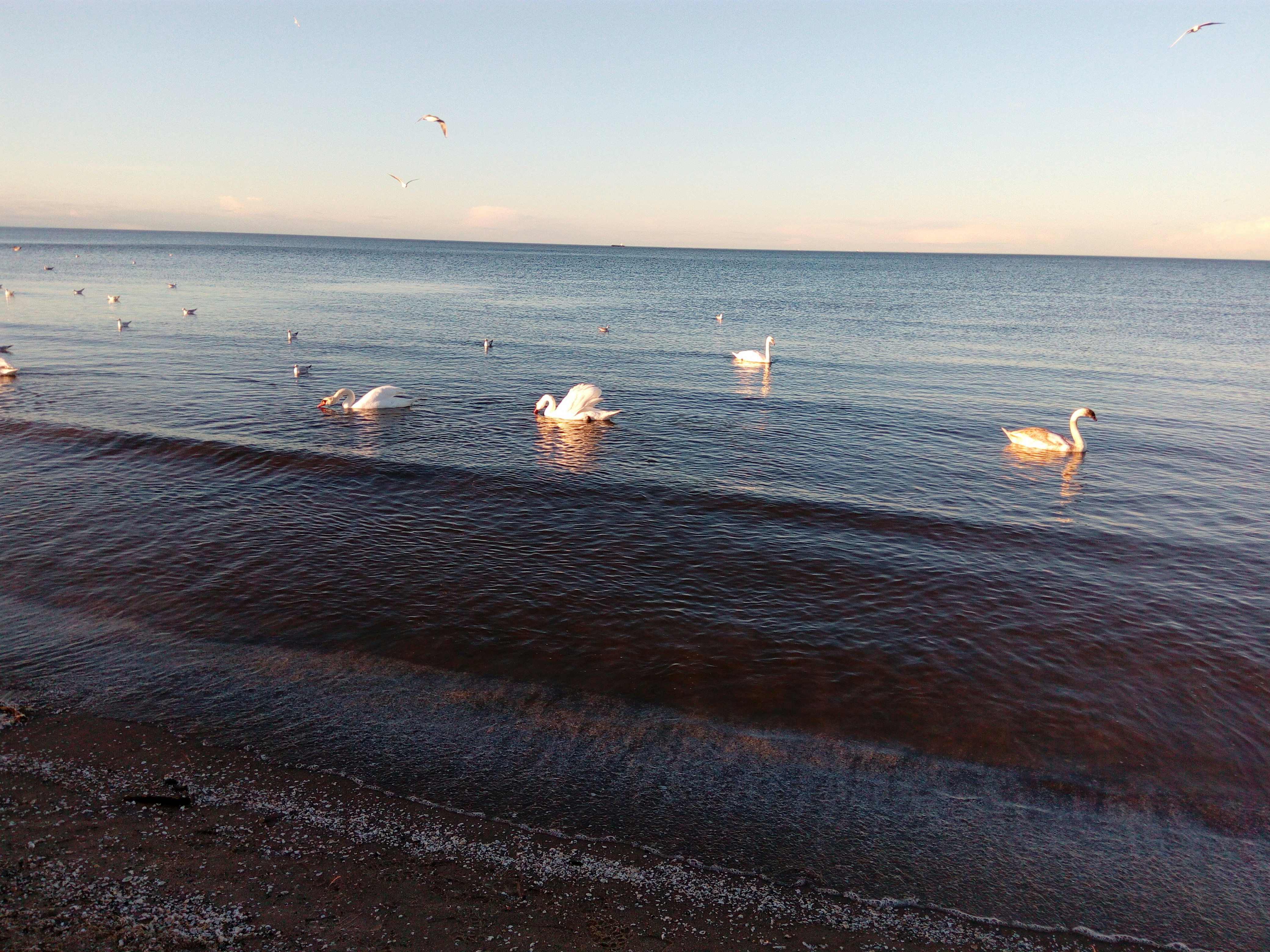 Free Unsplash photo from tomasz pastuszko