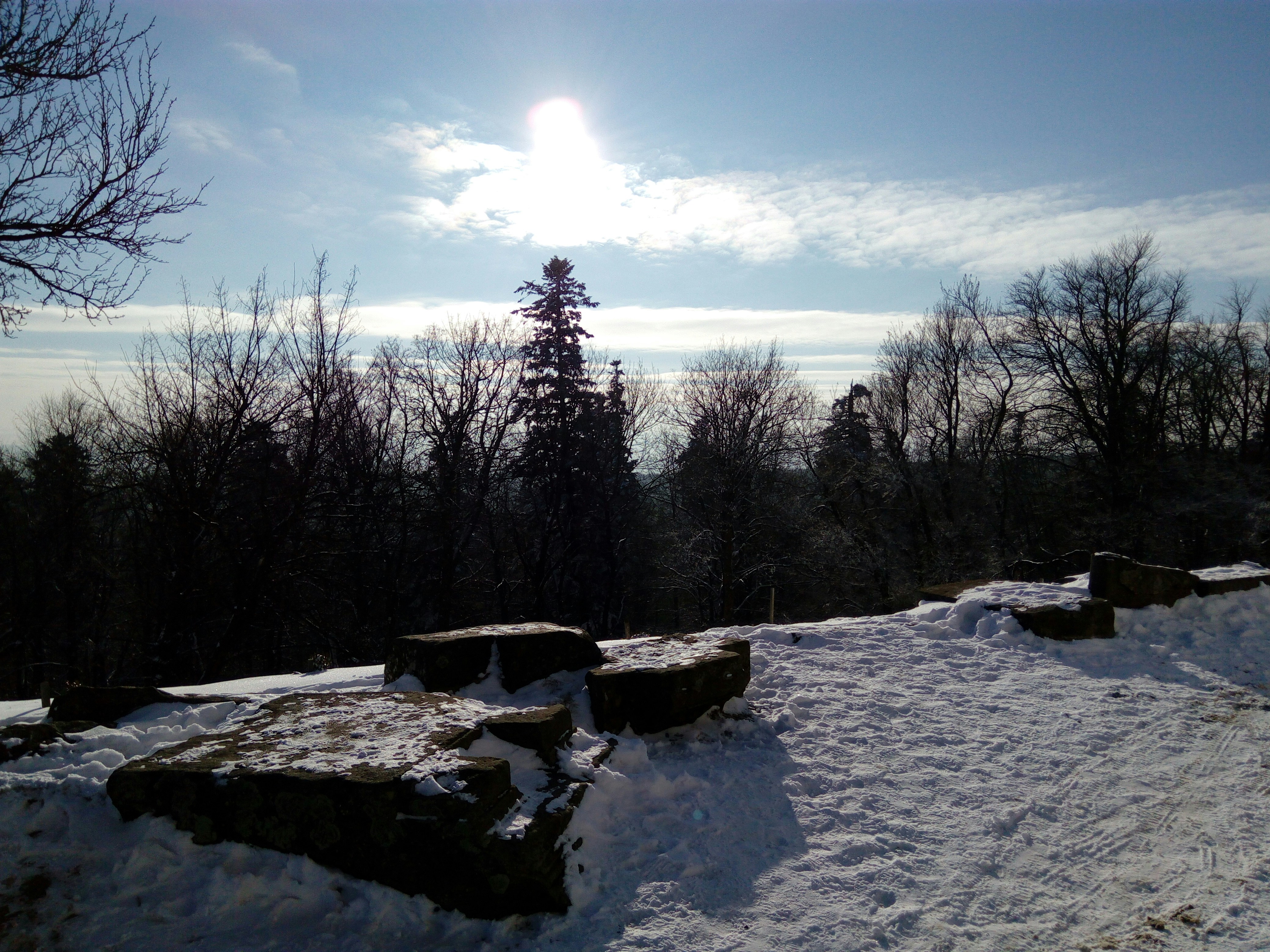 Free Unsplash photo from tomasz pastuszko