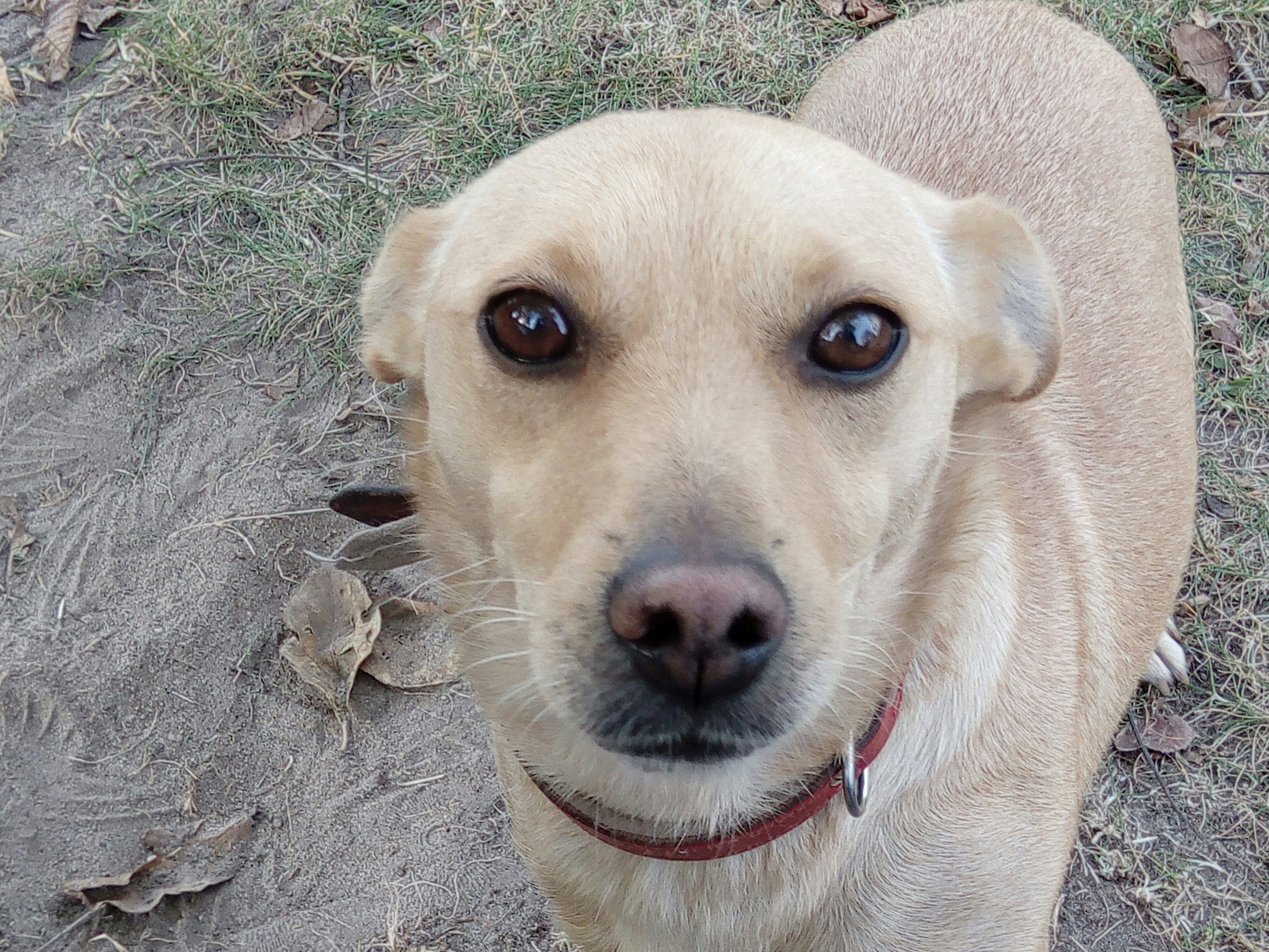 Free Unsplash photo from tomasz pastuszko