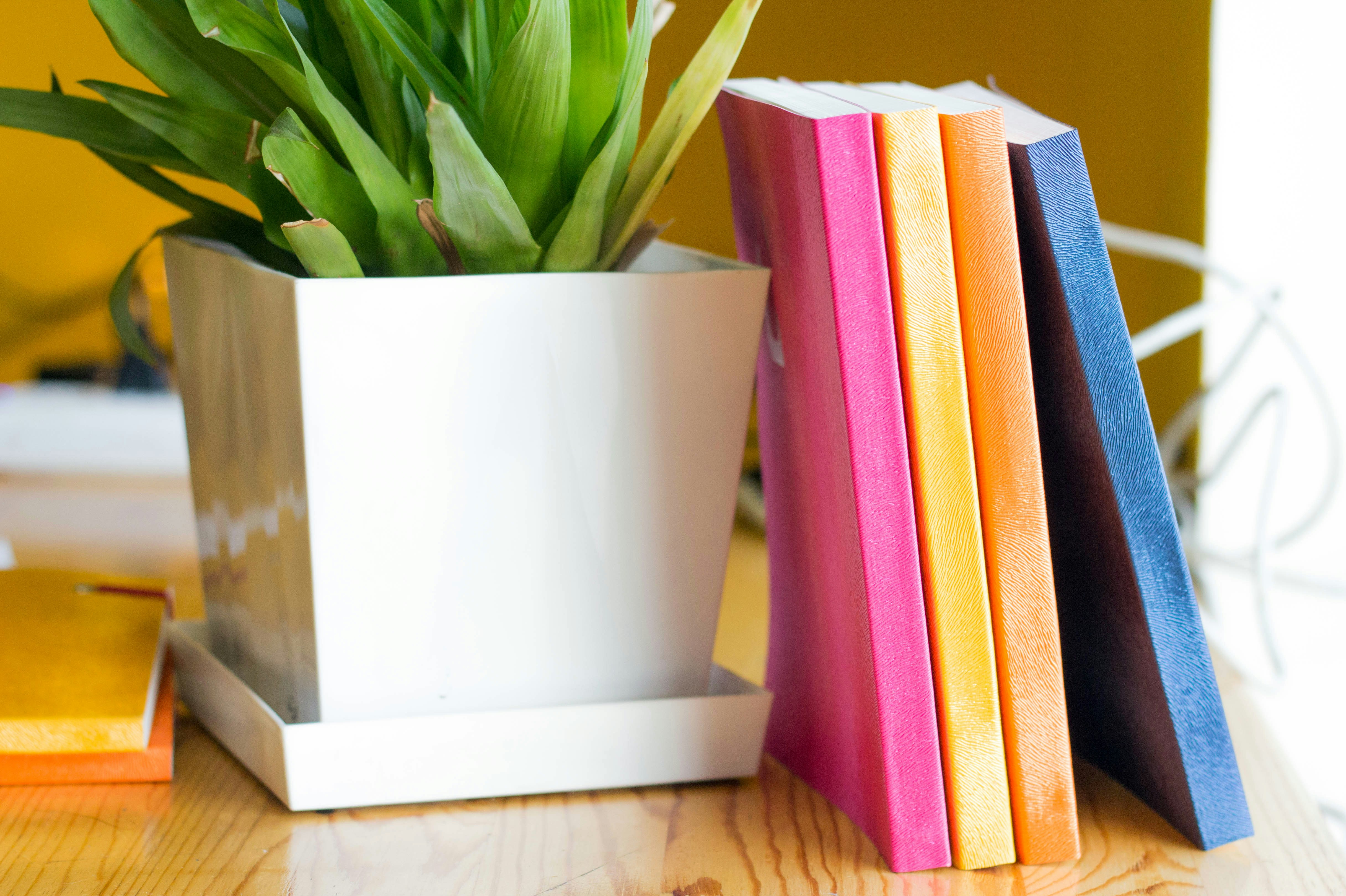 Free Unsplash photo from Ochir-Erdene Oyunmedeg