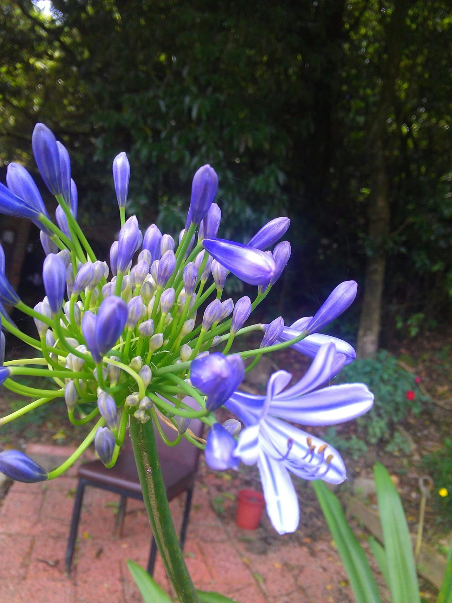 Free Unsplash photo from Peyrong Yang