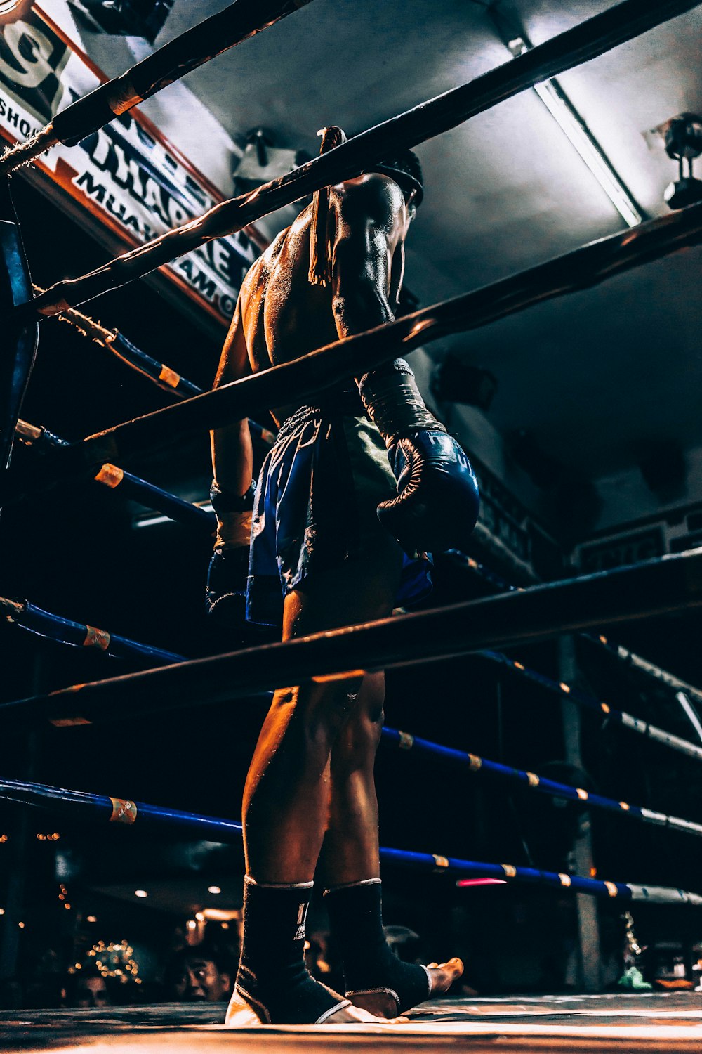 boxer wearing blue short standing in corner of ring