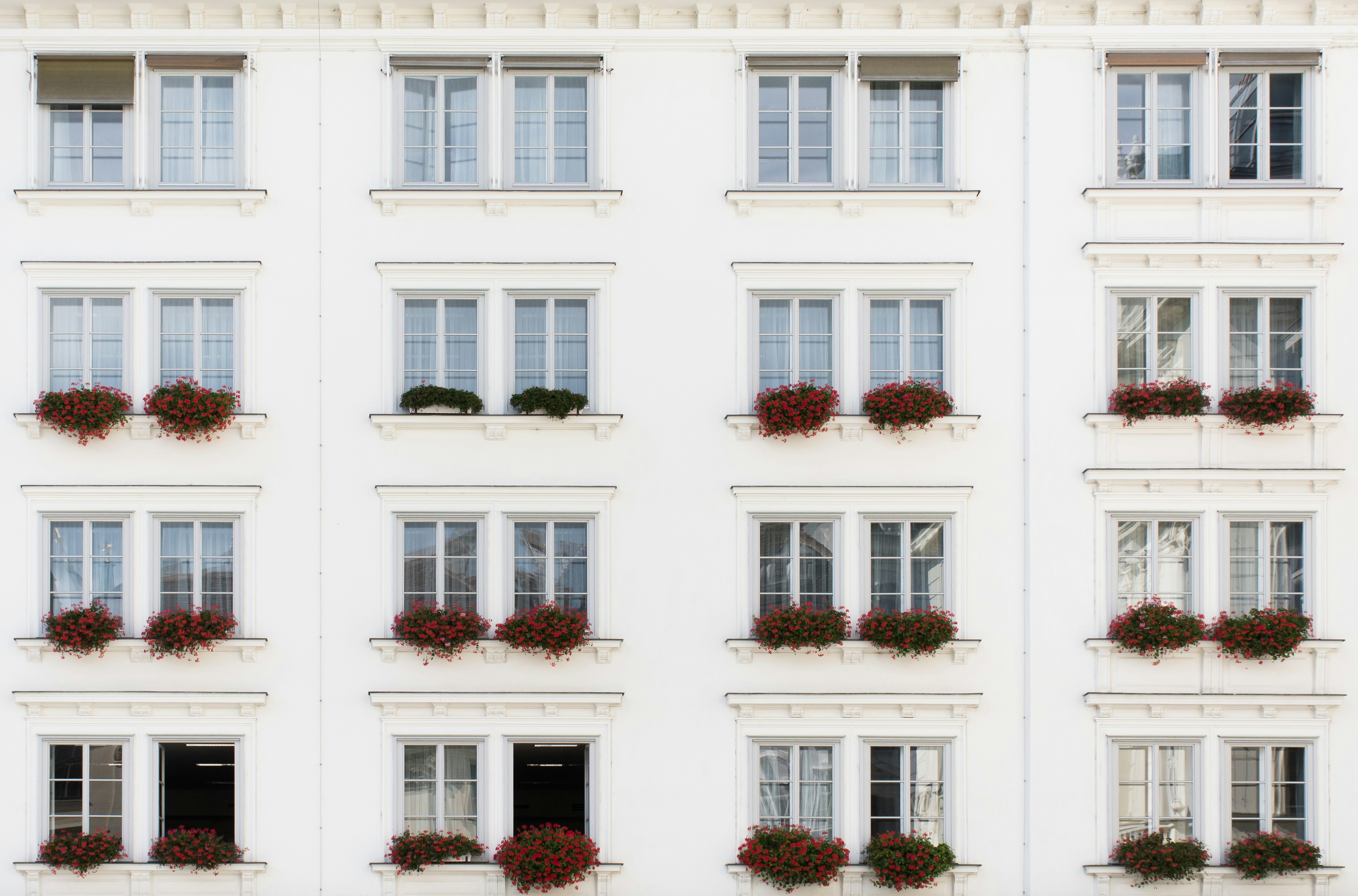 Free Unsplash photo from Zoltan Kovacs