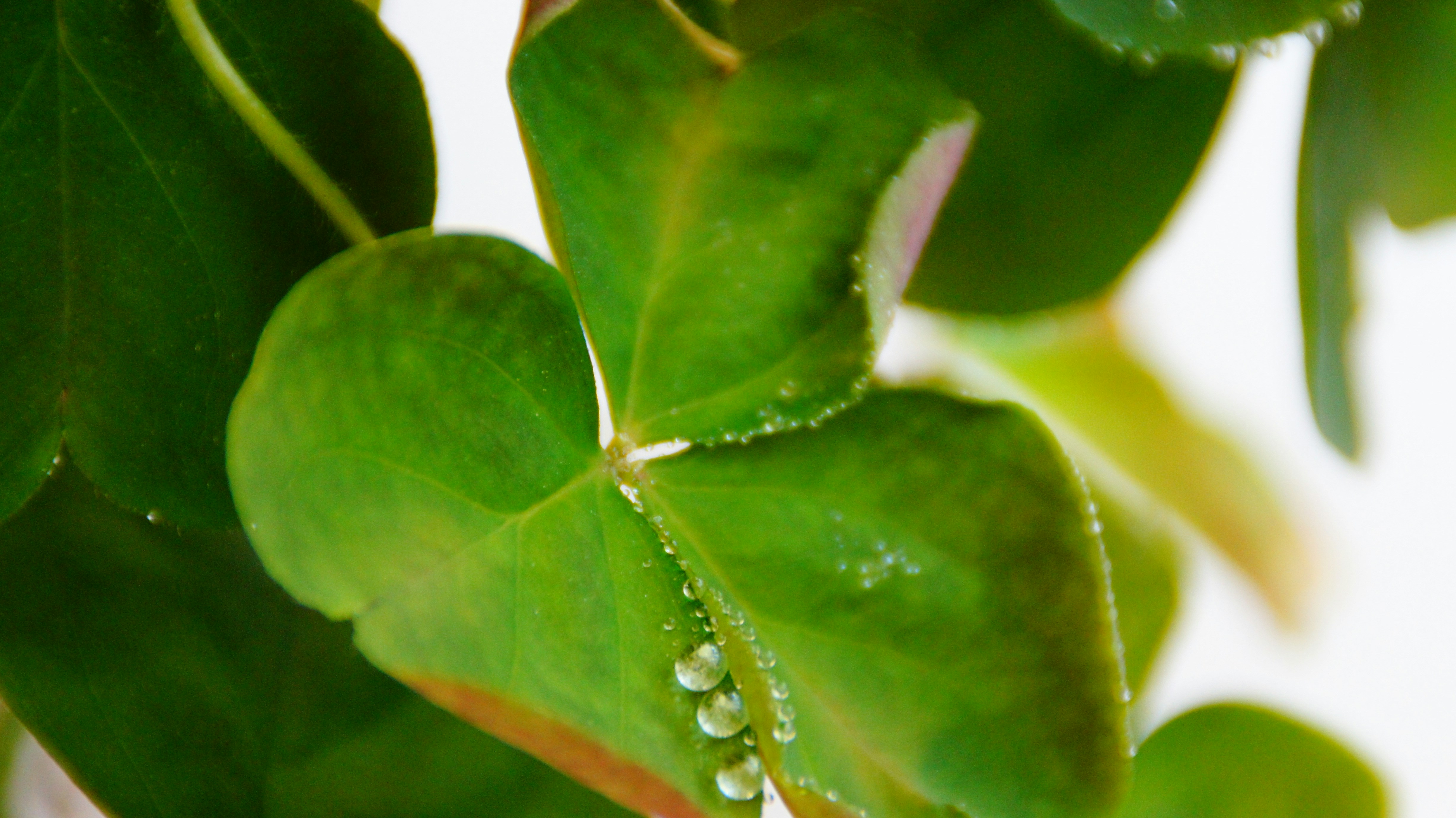 Free Unsplash photo from Kursad Eristi