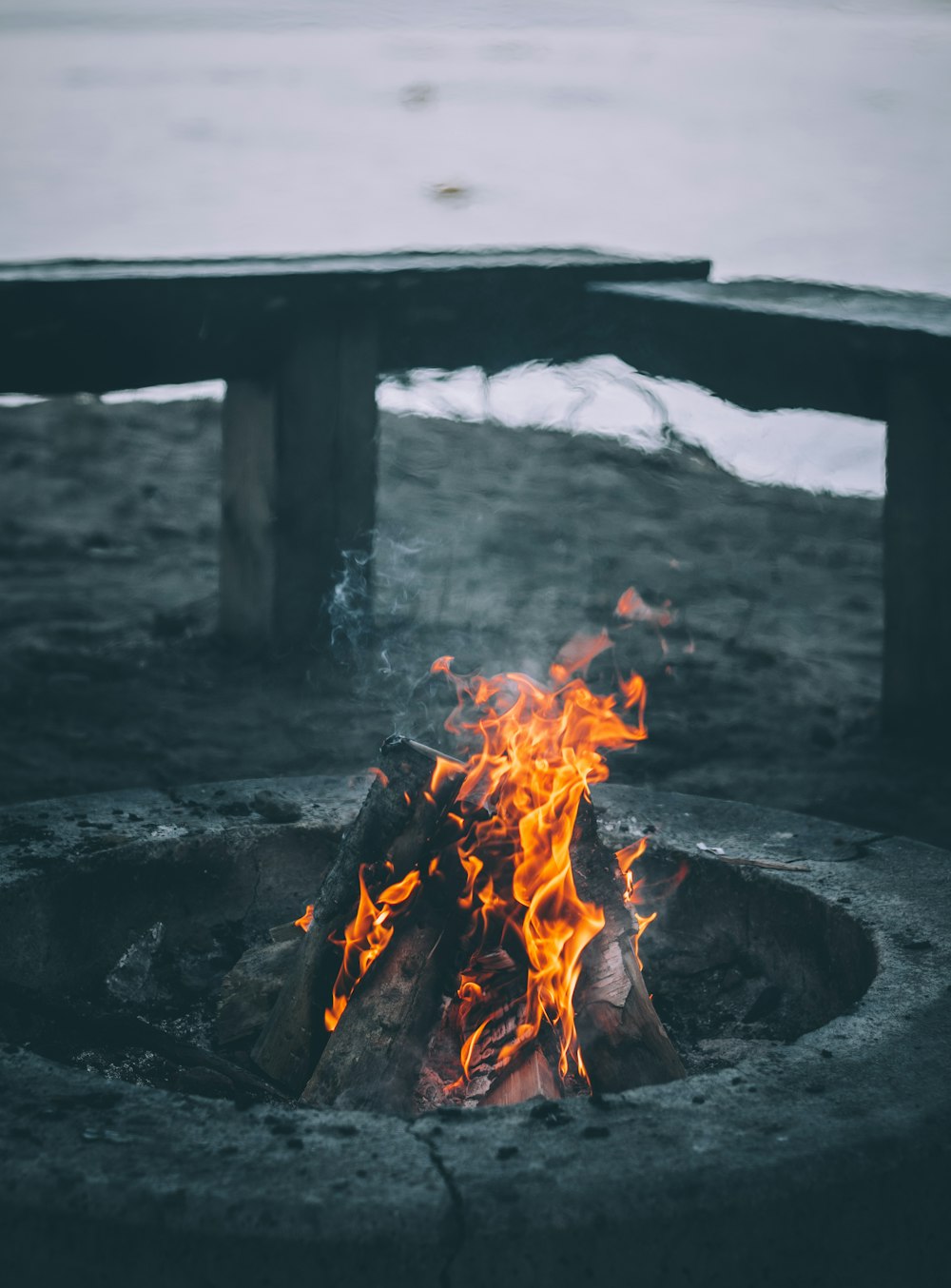 bonfire near bench and sea at daytime