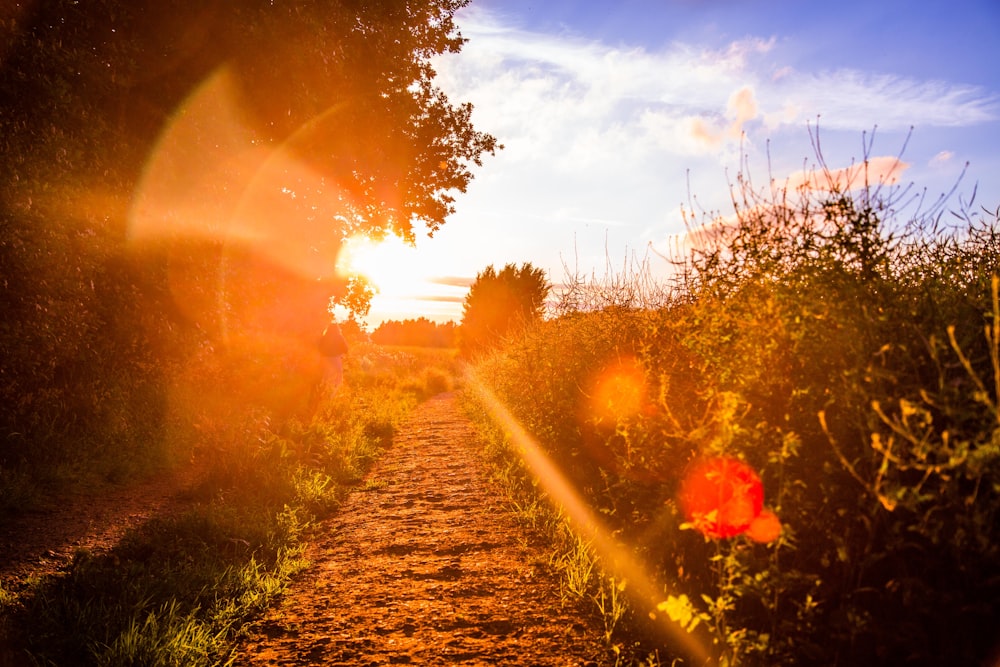 the sun is setting over a dirt path